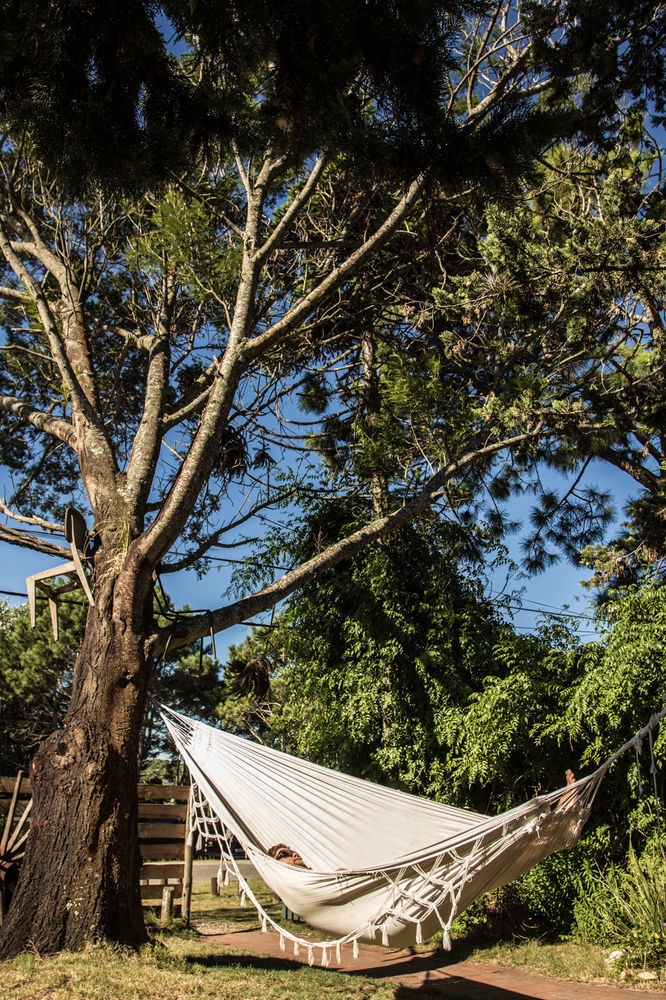 Negrita Hostel La Barra Kültér fotó